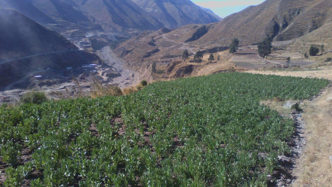 Terreno en Pampahasi en La Paz    Foto 3