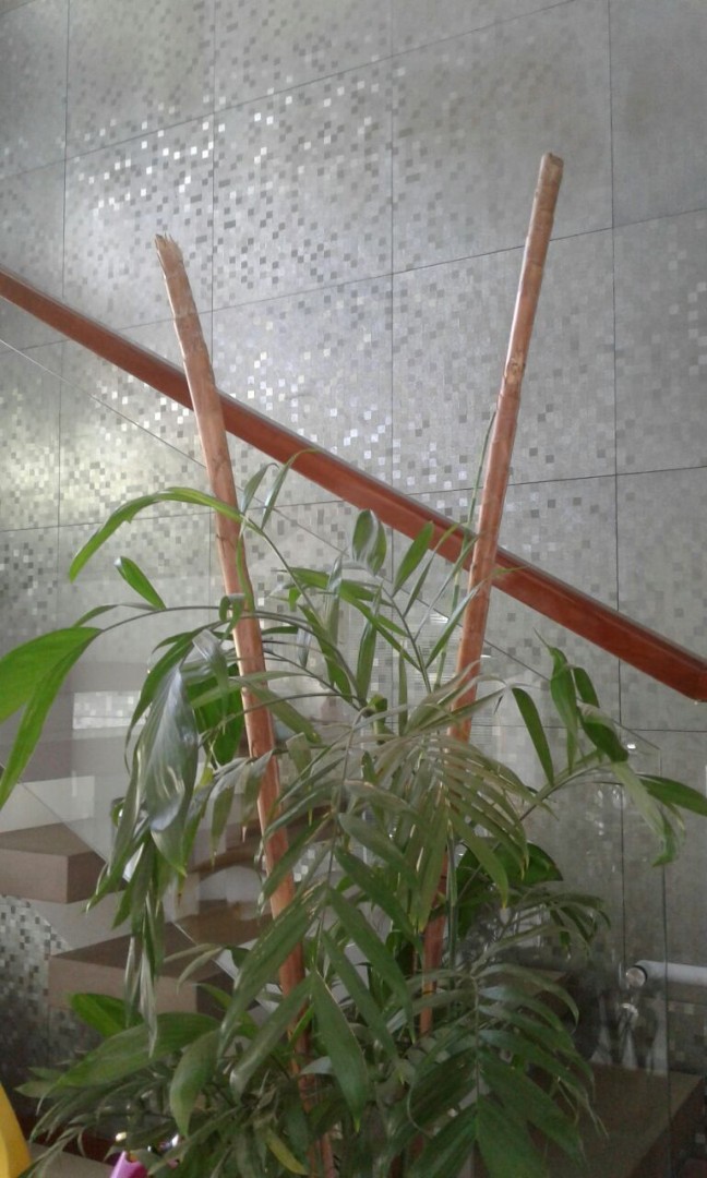 Casa en VentaCONDOMINIO URUBO GARDEN Foto 21