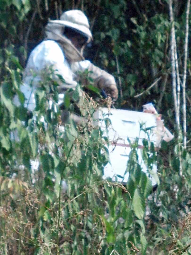 Casa Km. 95.5 carretera La Paz Caranavi, Tunahuarca, a 2.5 Km de Yolosita Foto 12