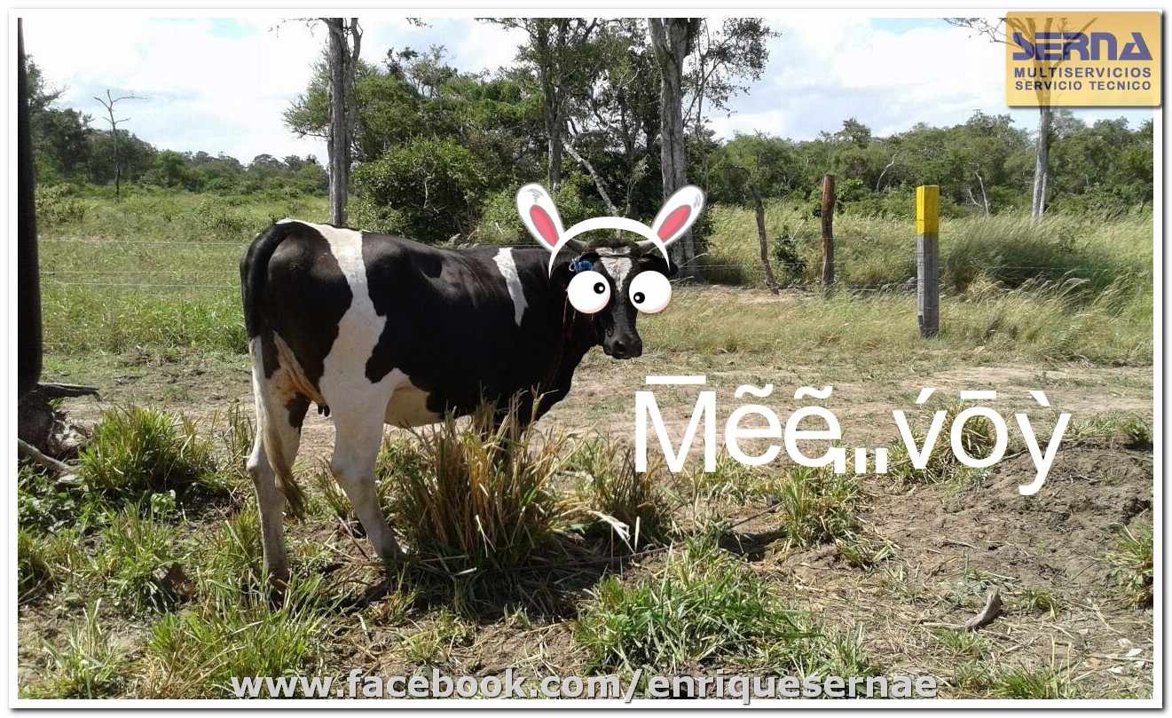 Terreno en VentaDirección:  #SantaCruz - #Bolivia, Av. 2 de Agosto pasando 1 cuadra larga el 5to anillo y doblando a la izquierda. Barrio Stevenson, Calle Stevenson Foto 6