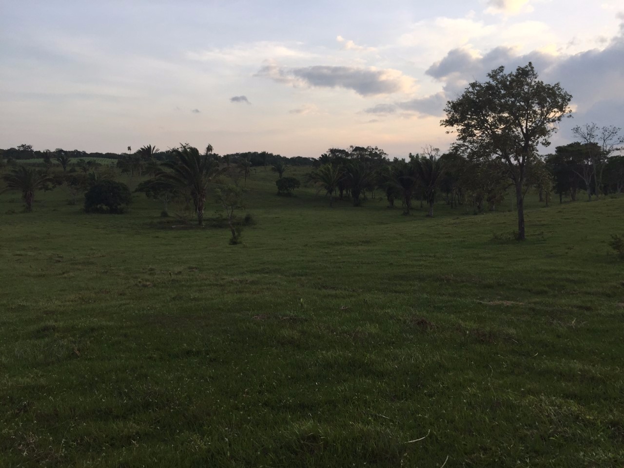Terreno en Urubó en Santa Cruz de la Sierra    Foto 5