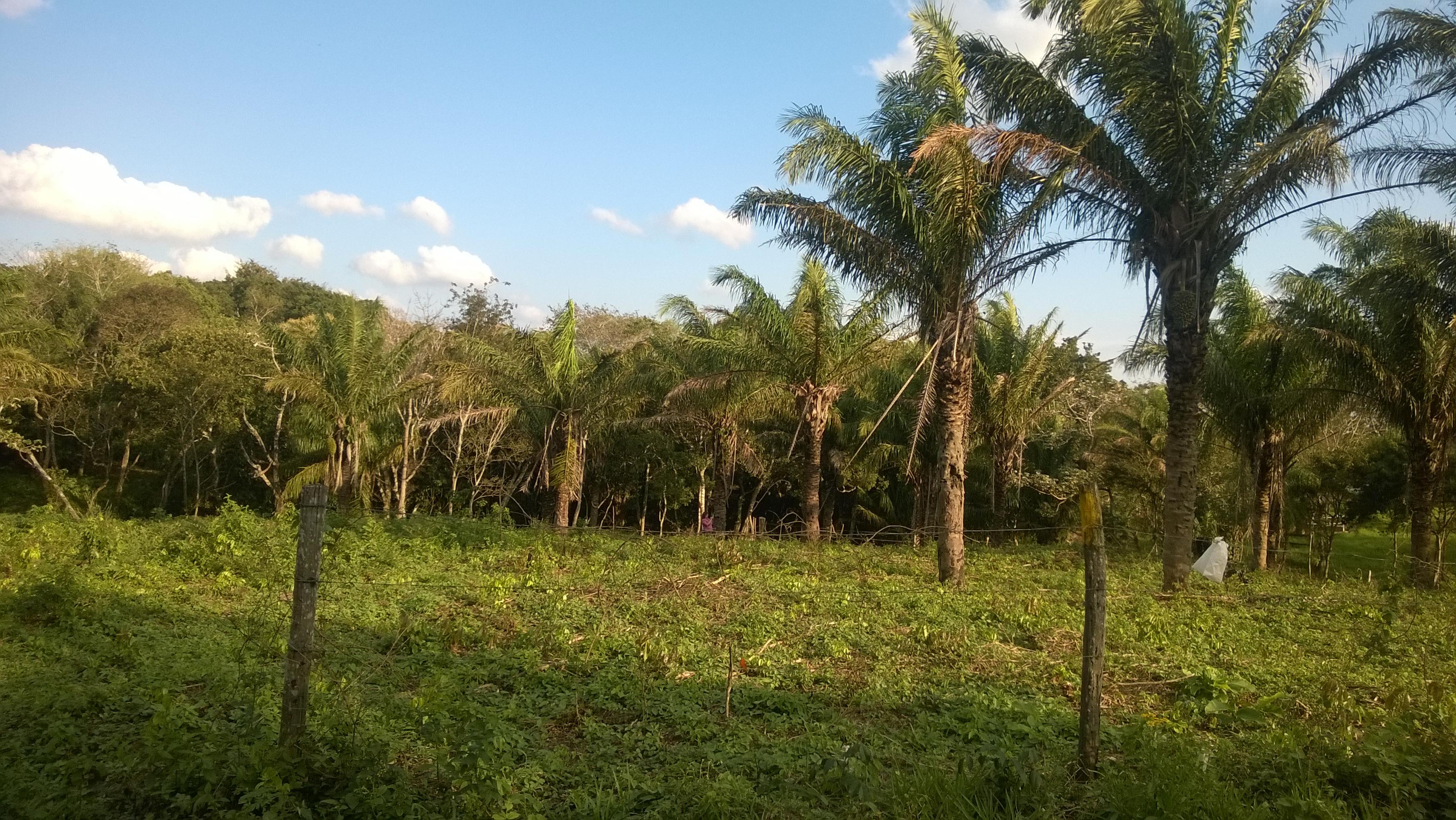 Terreno en VentaEntrada por la Rinconada, a metros del complejo Urubó Village.    Foto 3