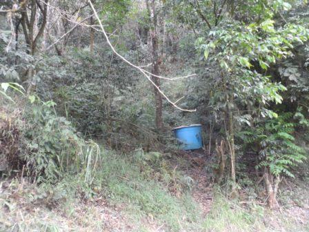 Terreno YANACAHI  Foto 9