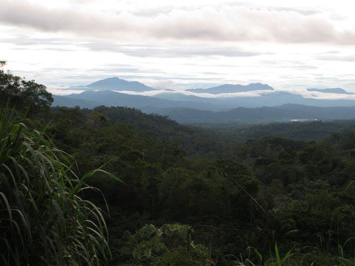 Terreno en VentaAlto Beni a 15 minutos del municipio de Palos Blancos en el Km 7, camino a Inicua Foto 9