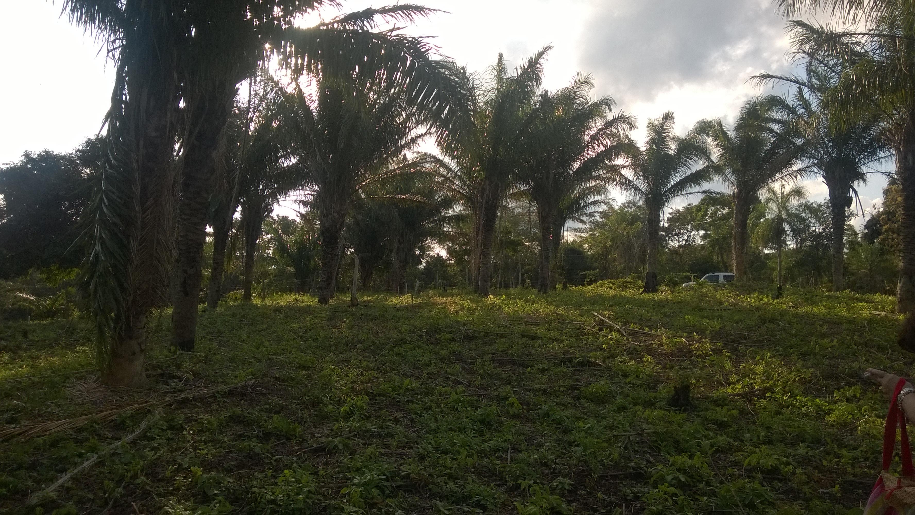 Terreno en VentaEntrada por la Rinconada, a metros del complejo Urubó Village.    Foto 1