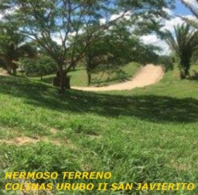 Terreno en VentaCOLINAS URUBO II SAN JAVIERITO Foto 1