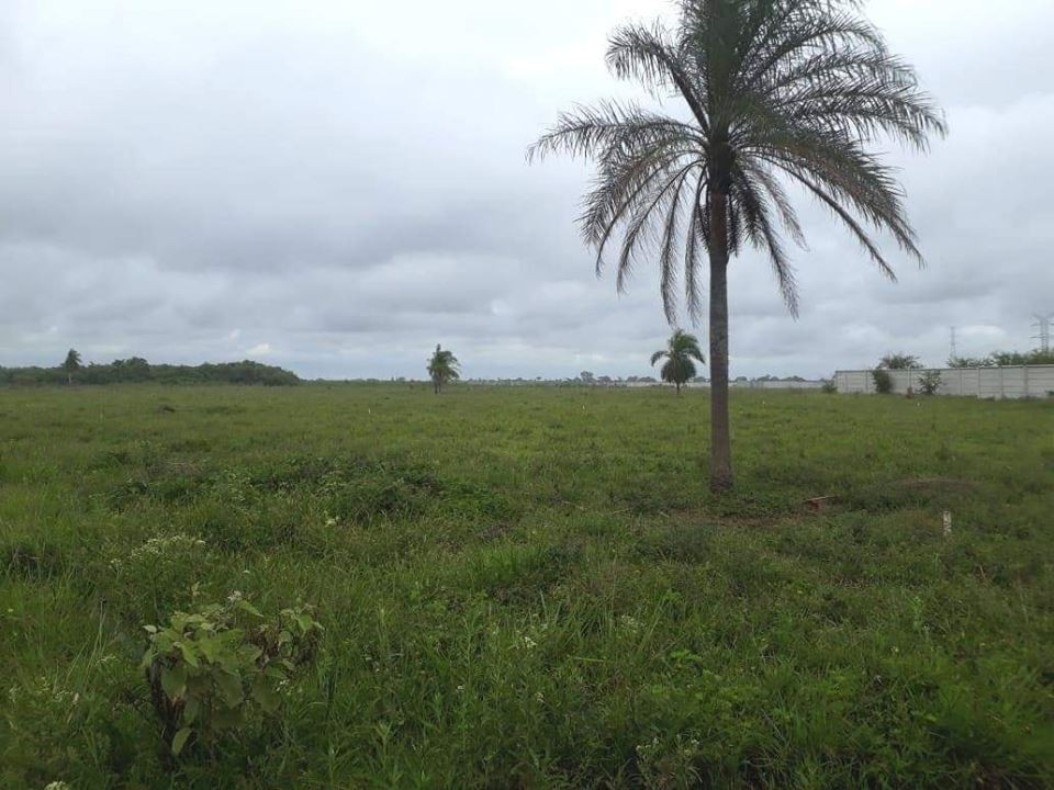 Quinta propiedad agrícola en VentaEL CARMEN RIVERO TORREZ Foto 8