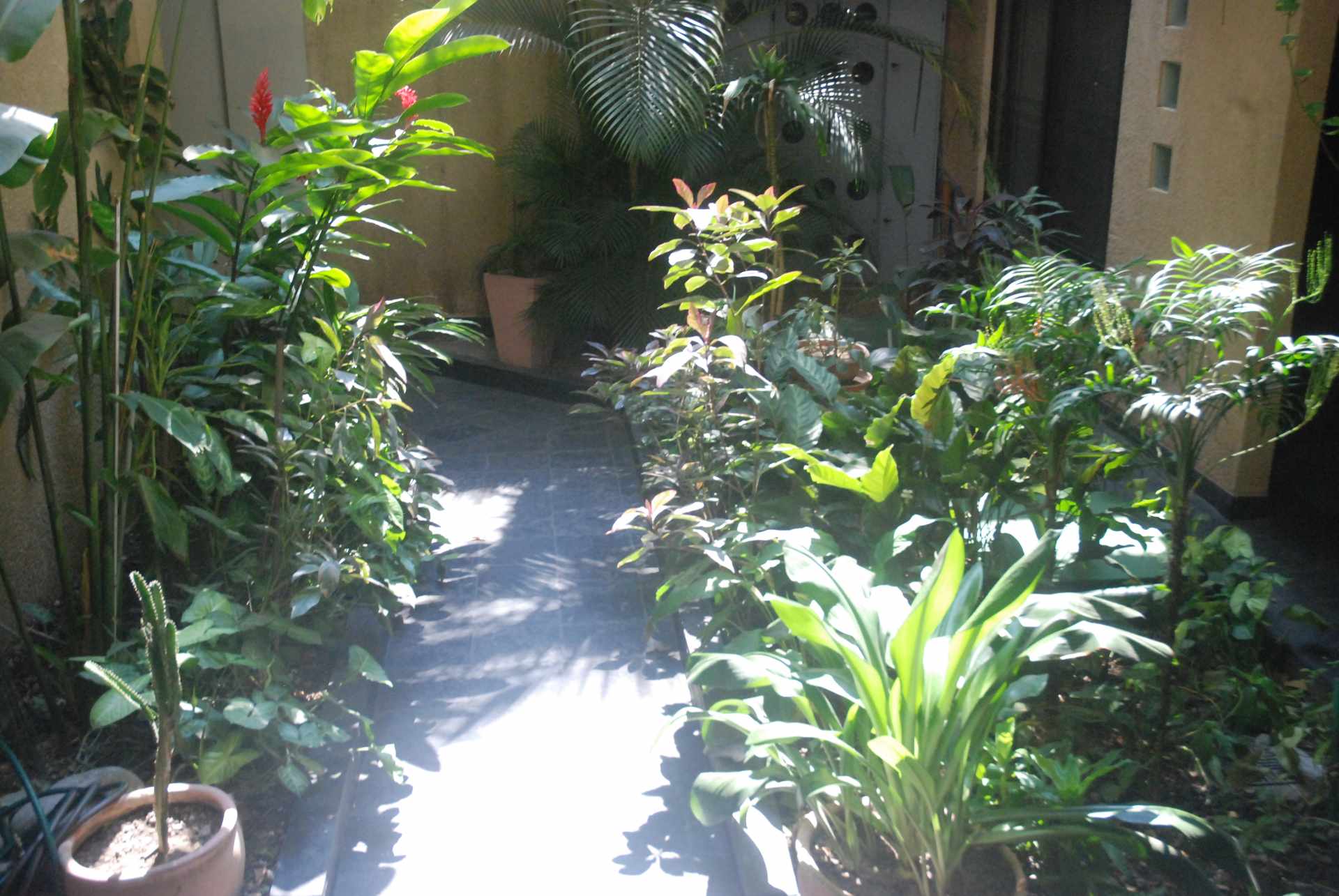 En Alquiler a $us 350 Foto 11