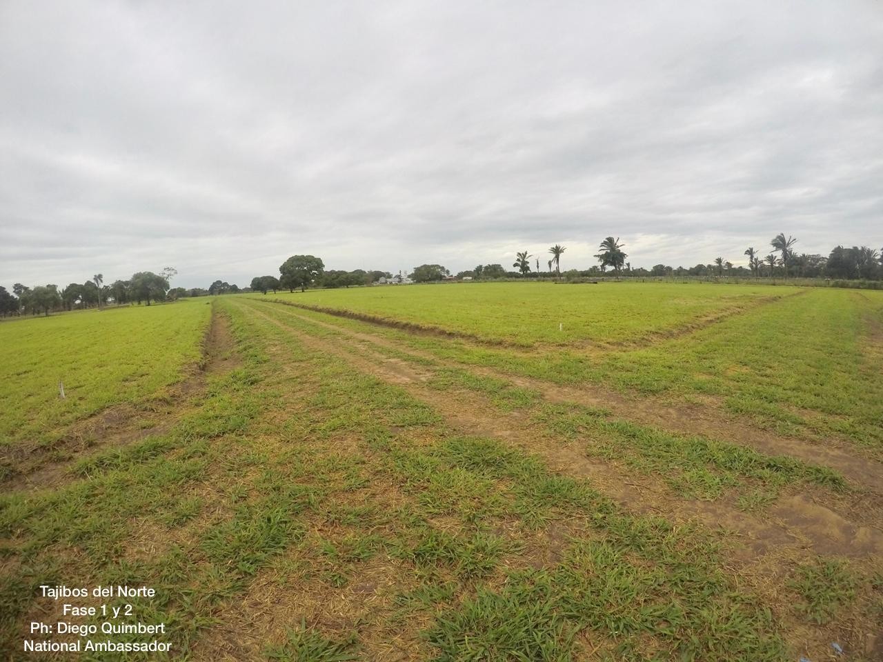 Terreno Complejo campestre Norte III Foto 1