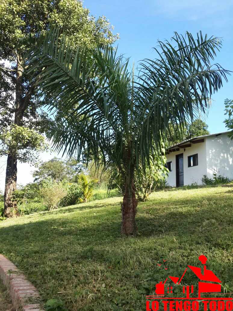 En Venta a $us 580,000 Foto 9