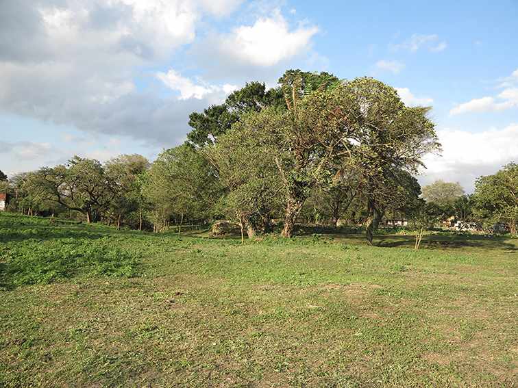 Quinta propiedad agrícola en VentaLa Guardia a 500 m de la Doble vía La Guardia Foto 11