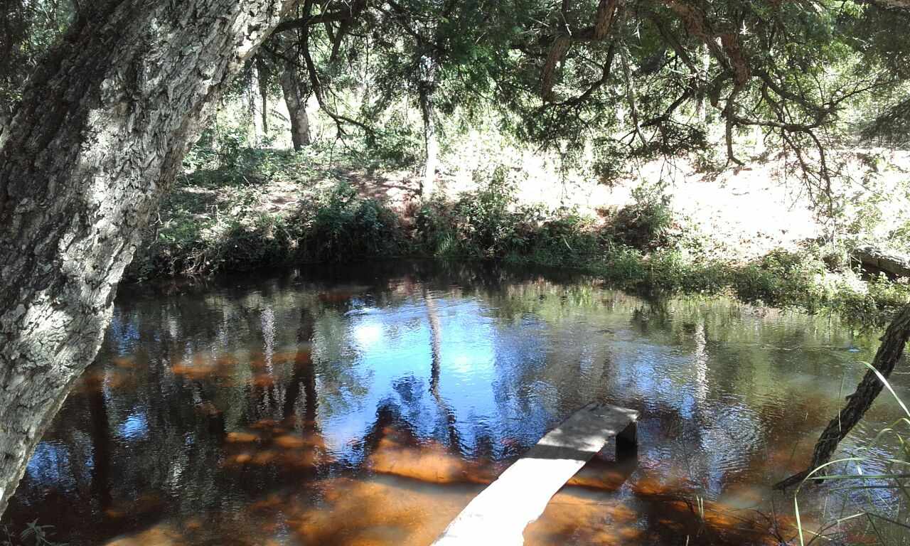 Terreno en VentaA 60 Km al Sur de Roboré Foto 5