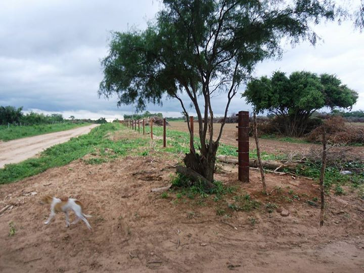 En Venta a $us 1,290,000 Foto 15