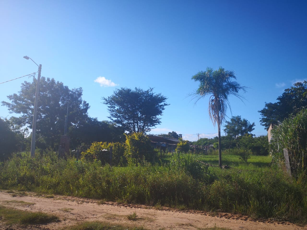Terreno en VentaZona Los Lotes, Av. Santa Cruz    Foto 1