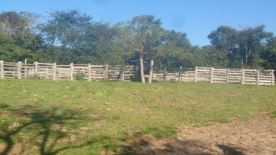 Quinta propiedad agrícola en VentaEL CARMEN RIVERO TORREZ Foto 5