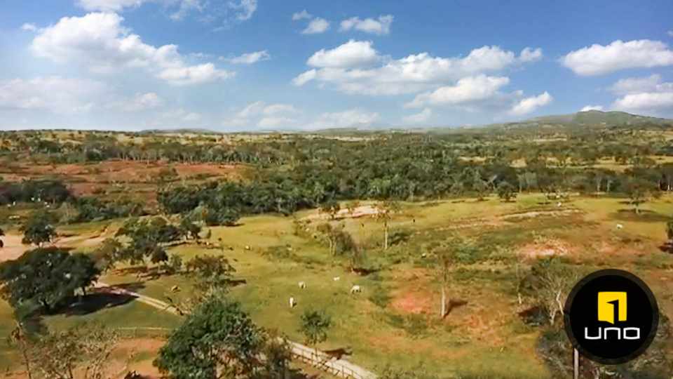 Quinta propiedad agrícola en VentaSOBRE CARRETERA A SAN JAVIER Foto 12