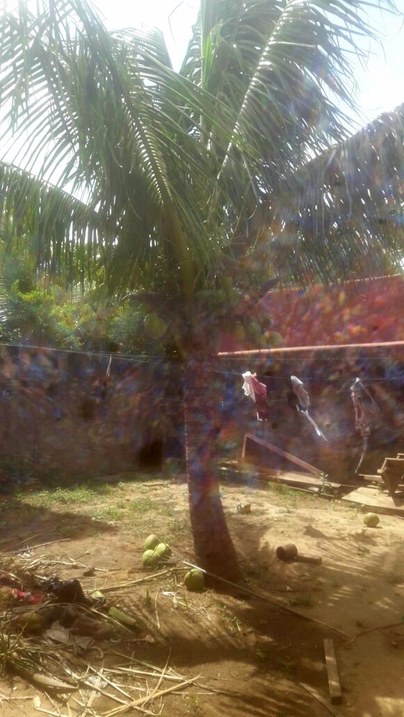 Casa en Anticrético 3 dormitorios 2 baños 2 parqueos Foto 1