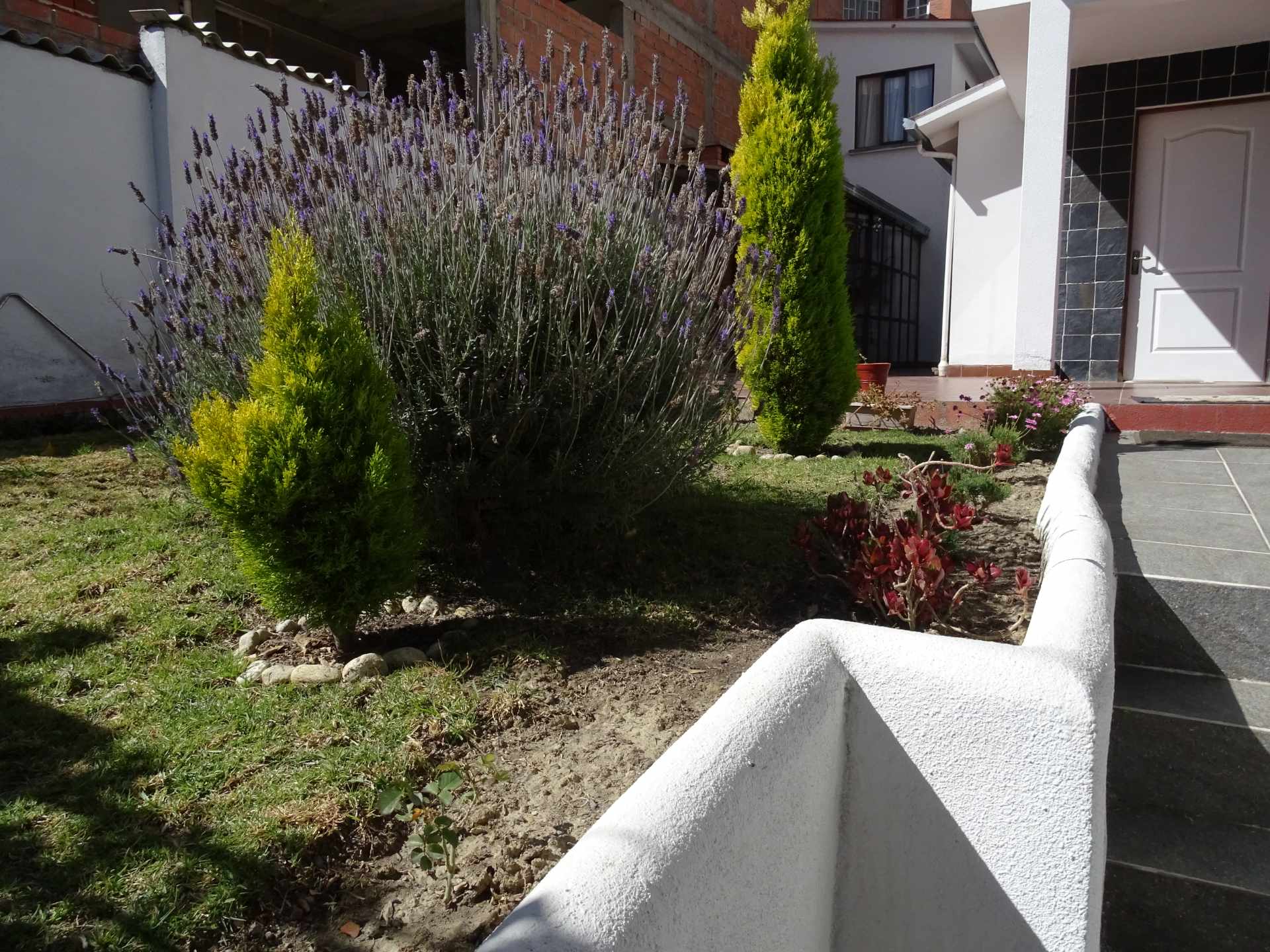 Casa en Mallasilla en La Paz 5 dormitorios 3 baños 2 parqueos Foto 3