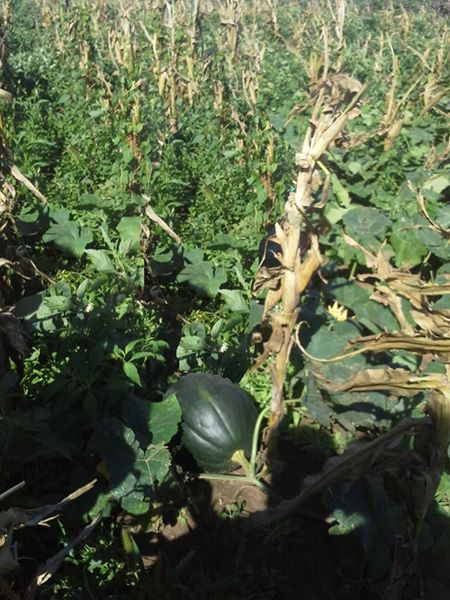 En Venta a $us 1,290,000 Foto 13