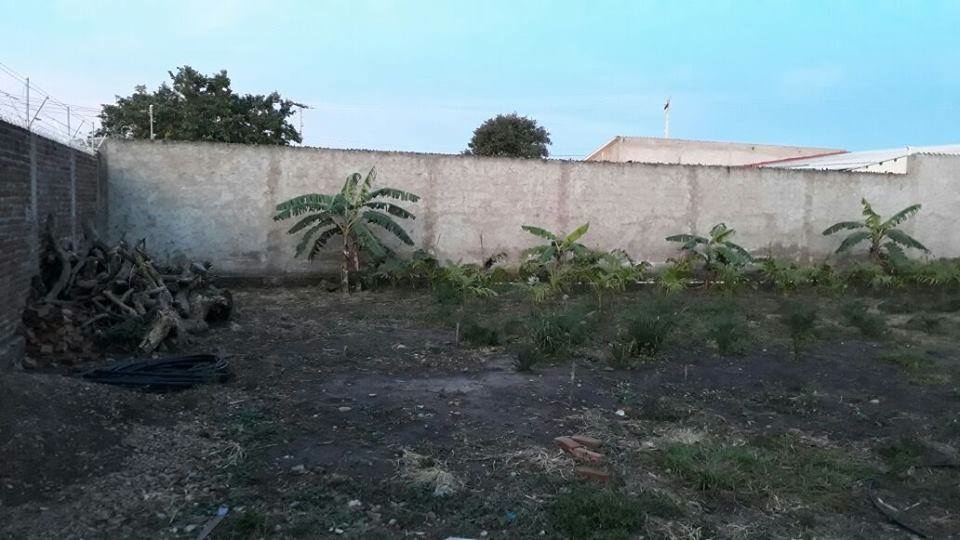 Terreno en El Remanso en Santa Cruz de la Sierra    Foto 3