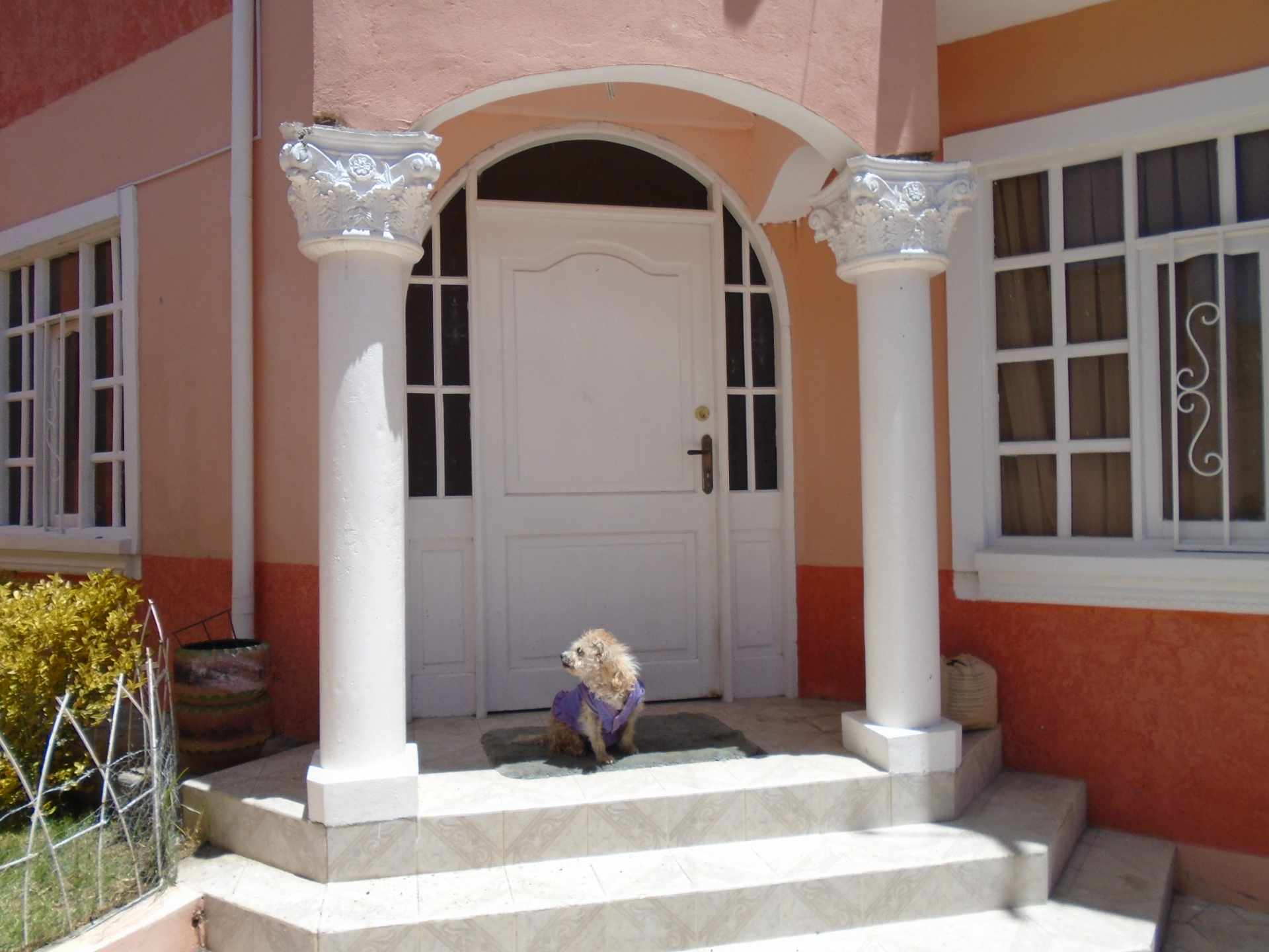Casa en Irpavi en La Paz 5 dormitorios 4 baños 4 parqueos Foto 2