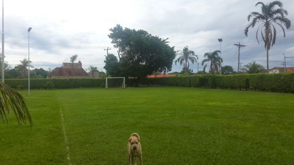 En Venta a $us 1,000,000 Foto 15