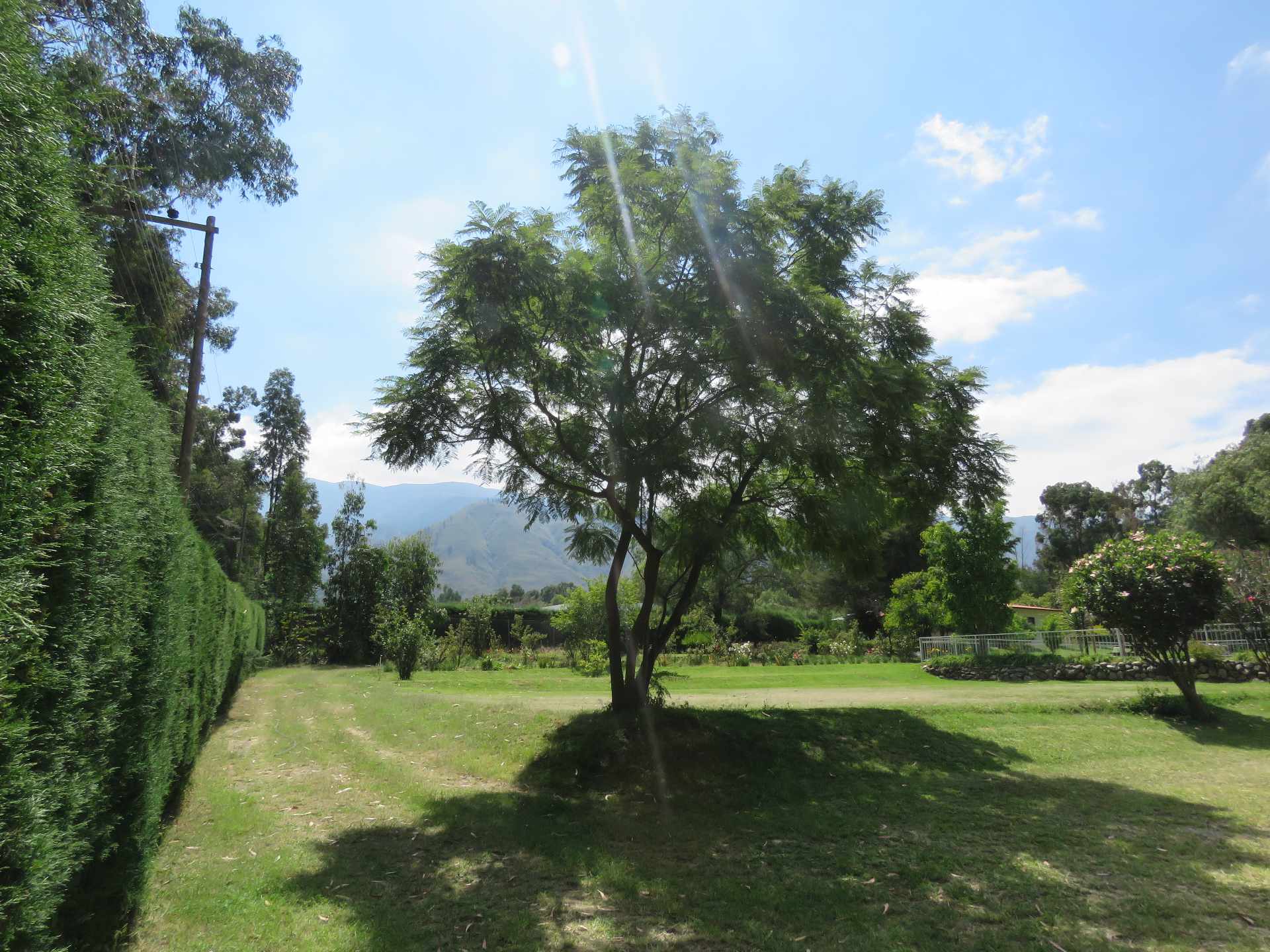 Terreno en Tiquipaya en Cochabamba    Foto 6
