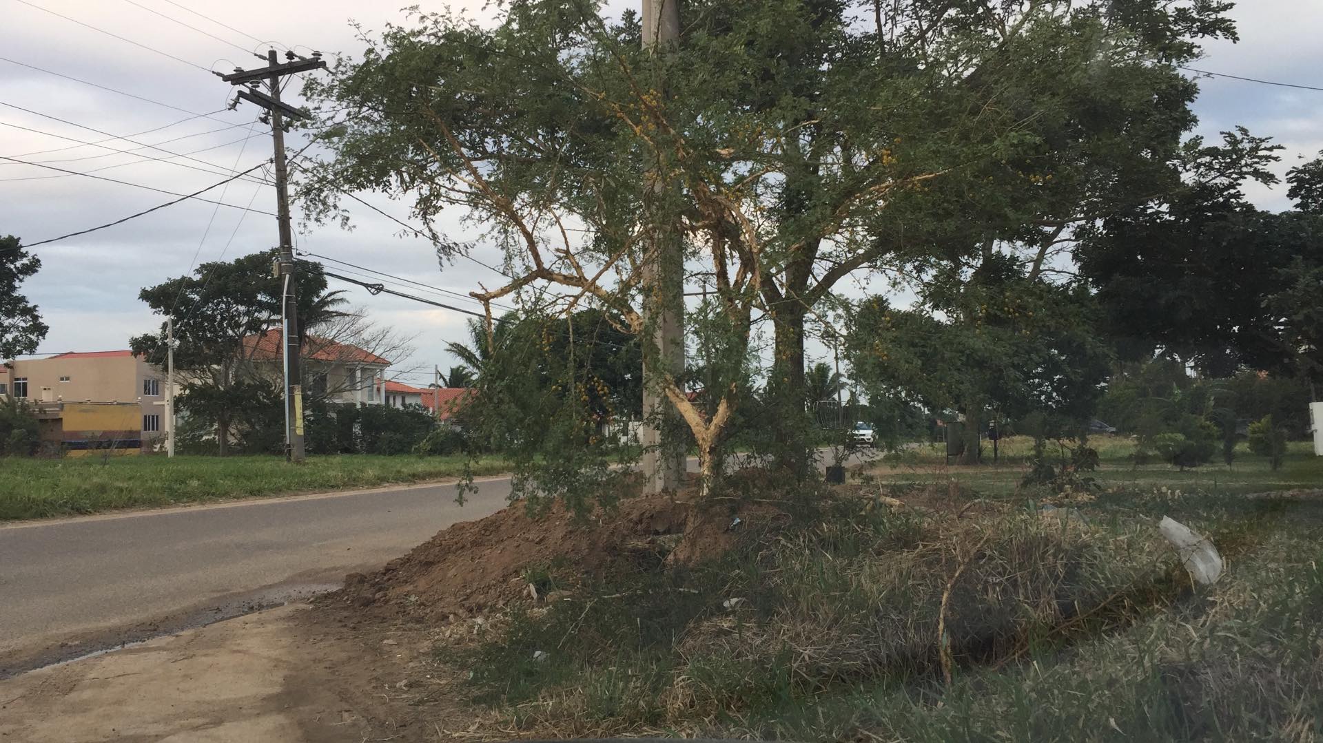 Terreno en Urubó en Santa Cruz de la Sierra    Foto 1