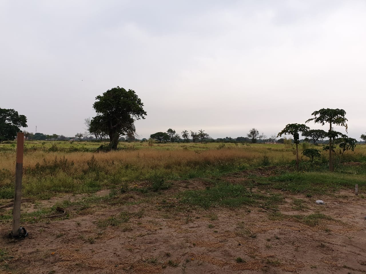 Terreno en VentaURBANIZACION ´´LA PASCANA`` SOBRE CARRETERA A PAURITO    Foto 4