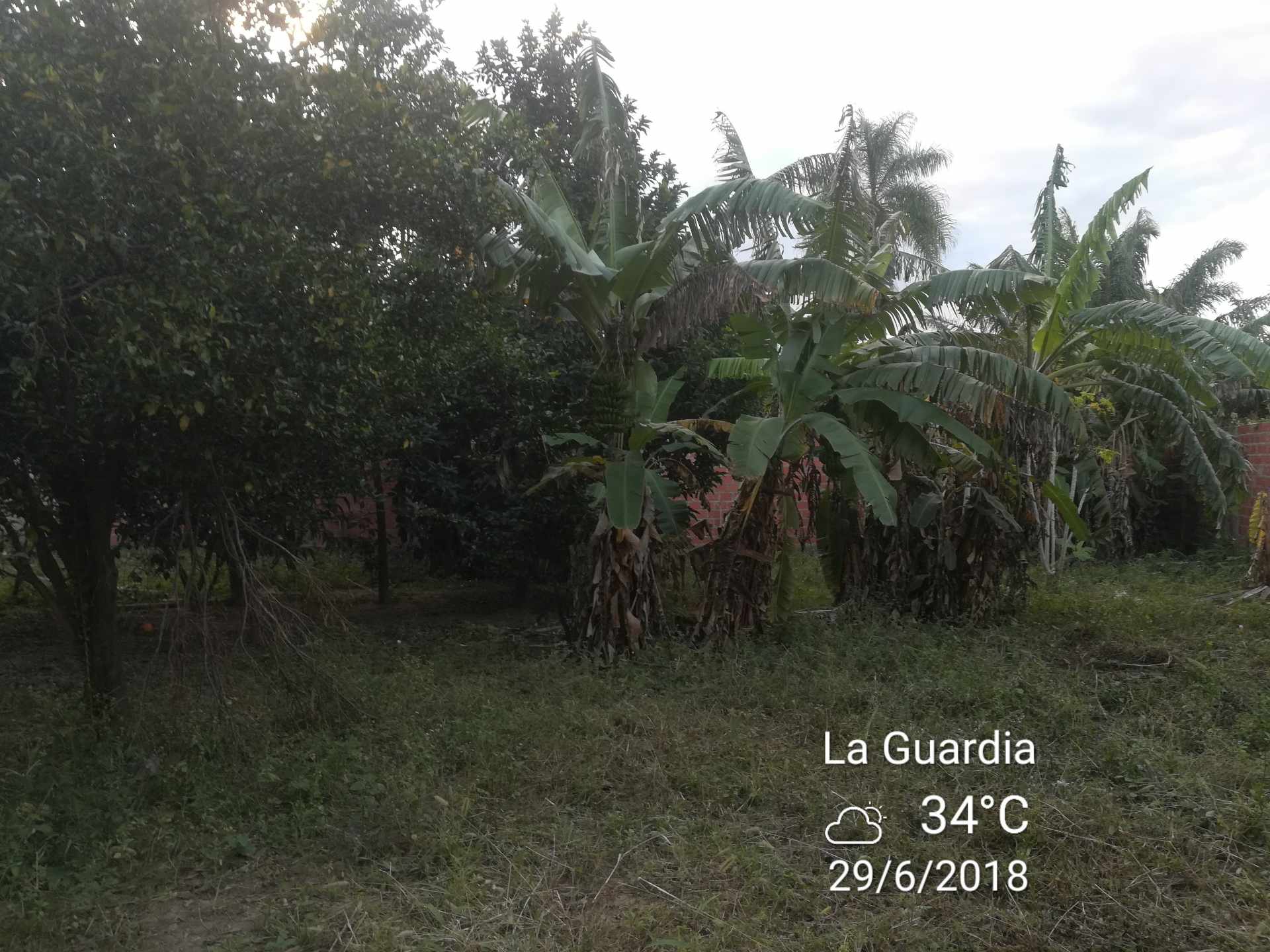 Casa Calle Virgen de Asunción Nro 125, Barrio Aguilera Foto 2