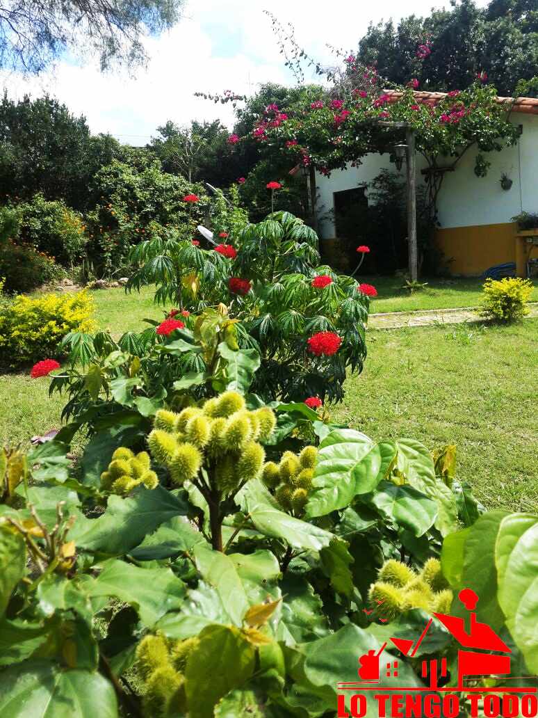 En Venta a $us 580,000 Foto 13