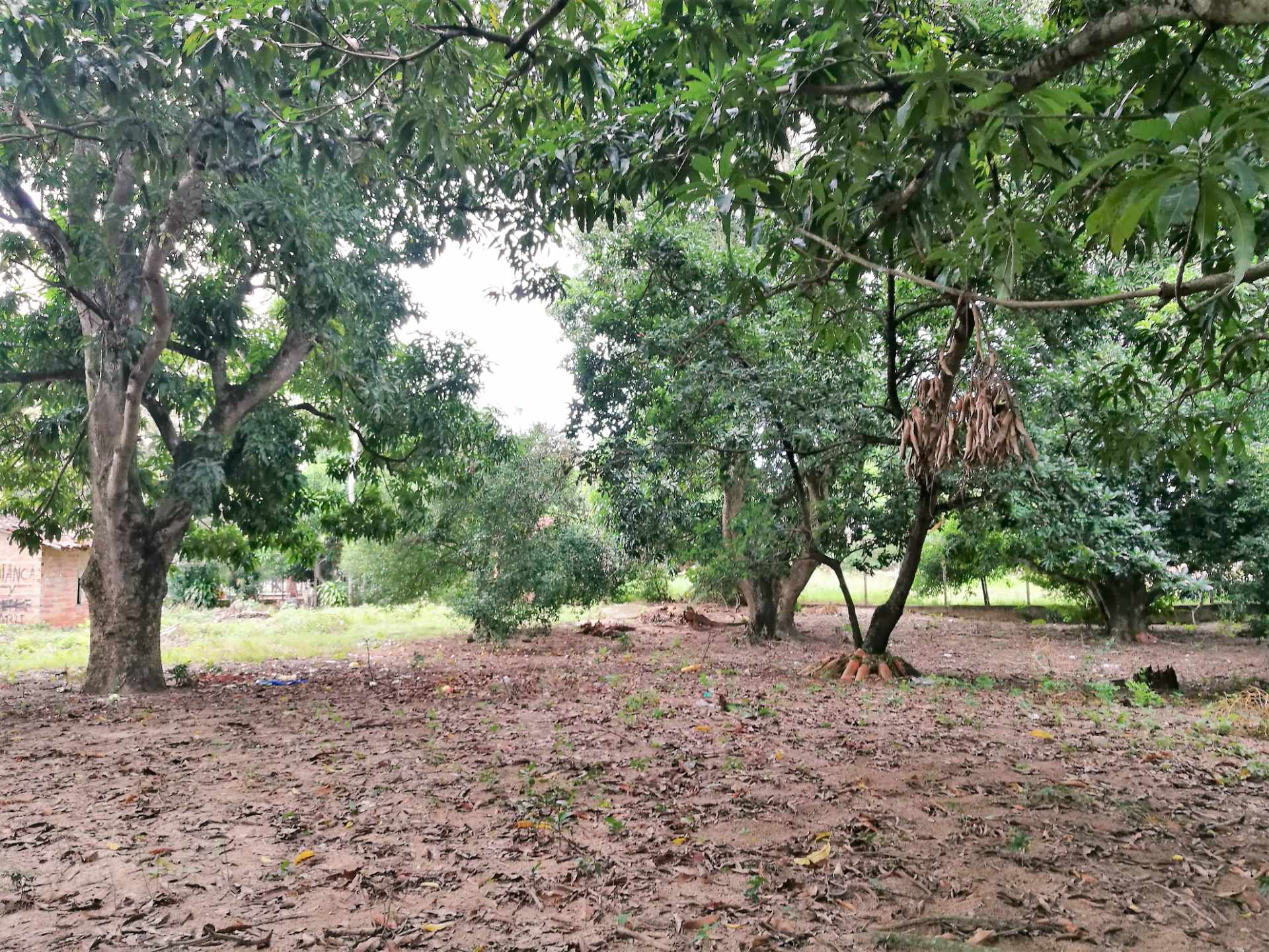 Terreno en Venta?TERRENO EN LA GUARDIA barrio “EL BIBOSI”    Foto 9