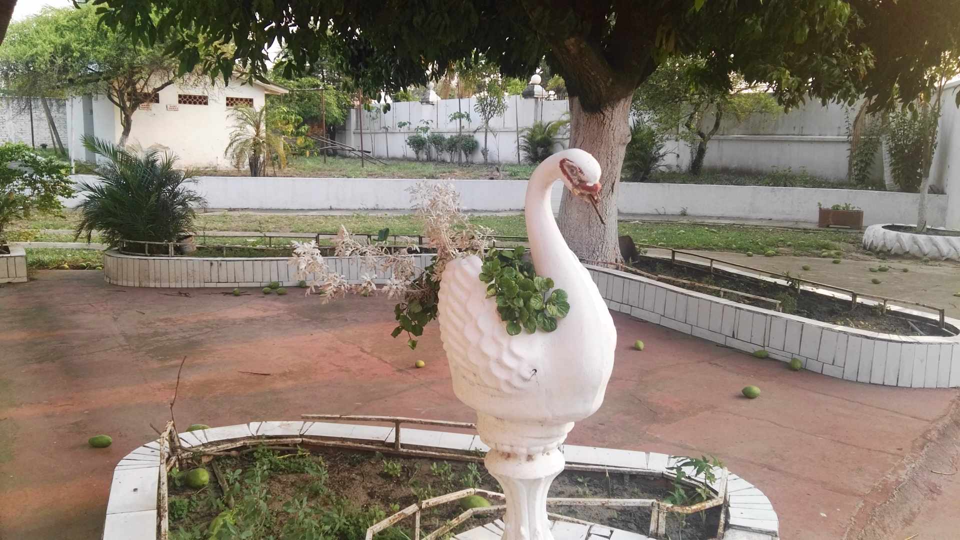 Terreno en Doble vía La Guardia en Santa Cruz de la Sierra    Foto 9