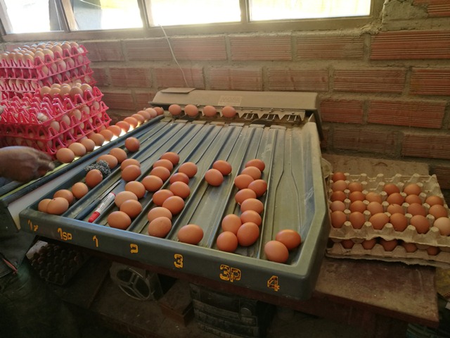 En Venta a $us 498,000 Foto 7