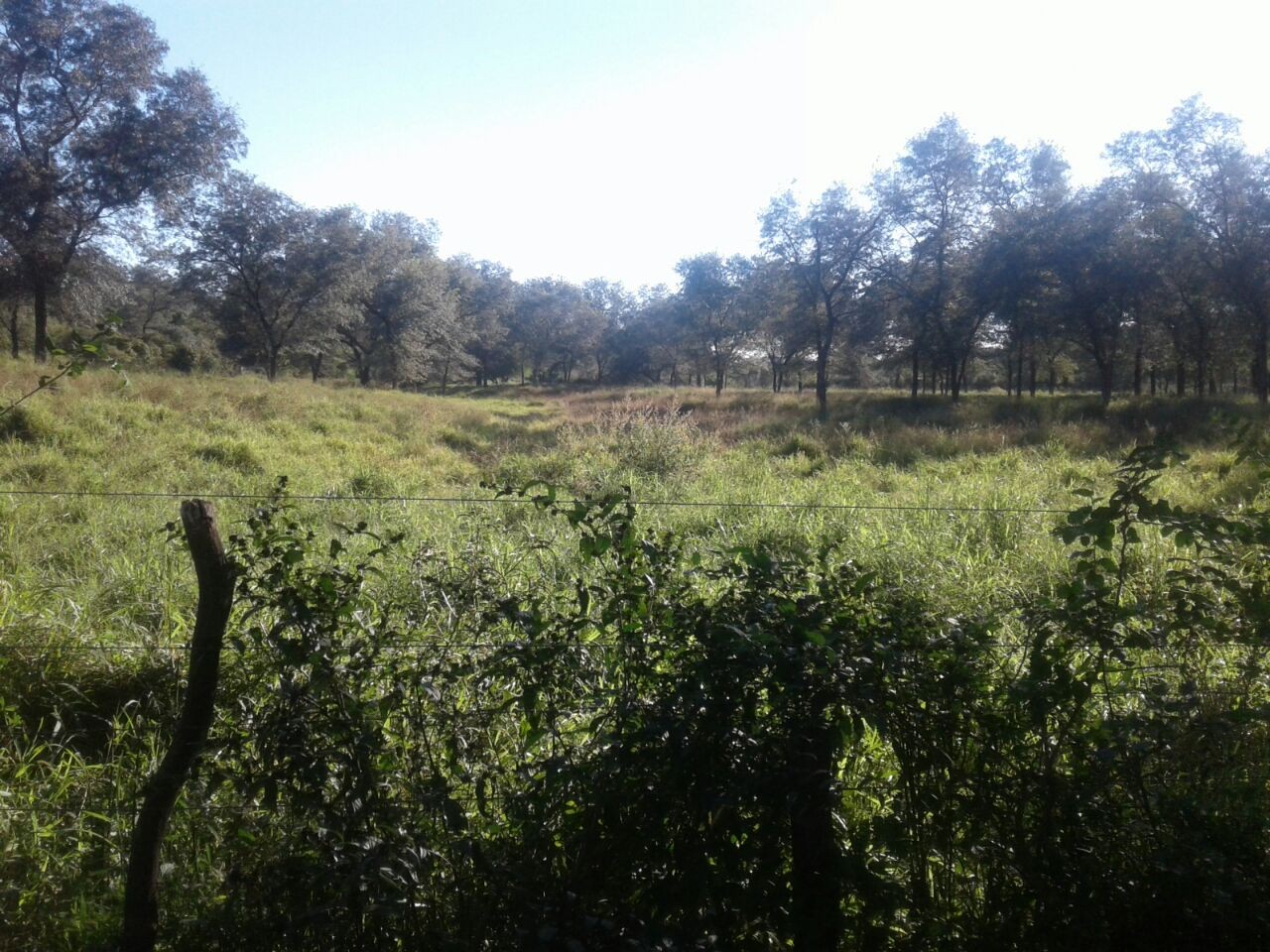 Terreno en El Rancho en Tarija    Foto 1
