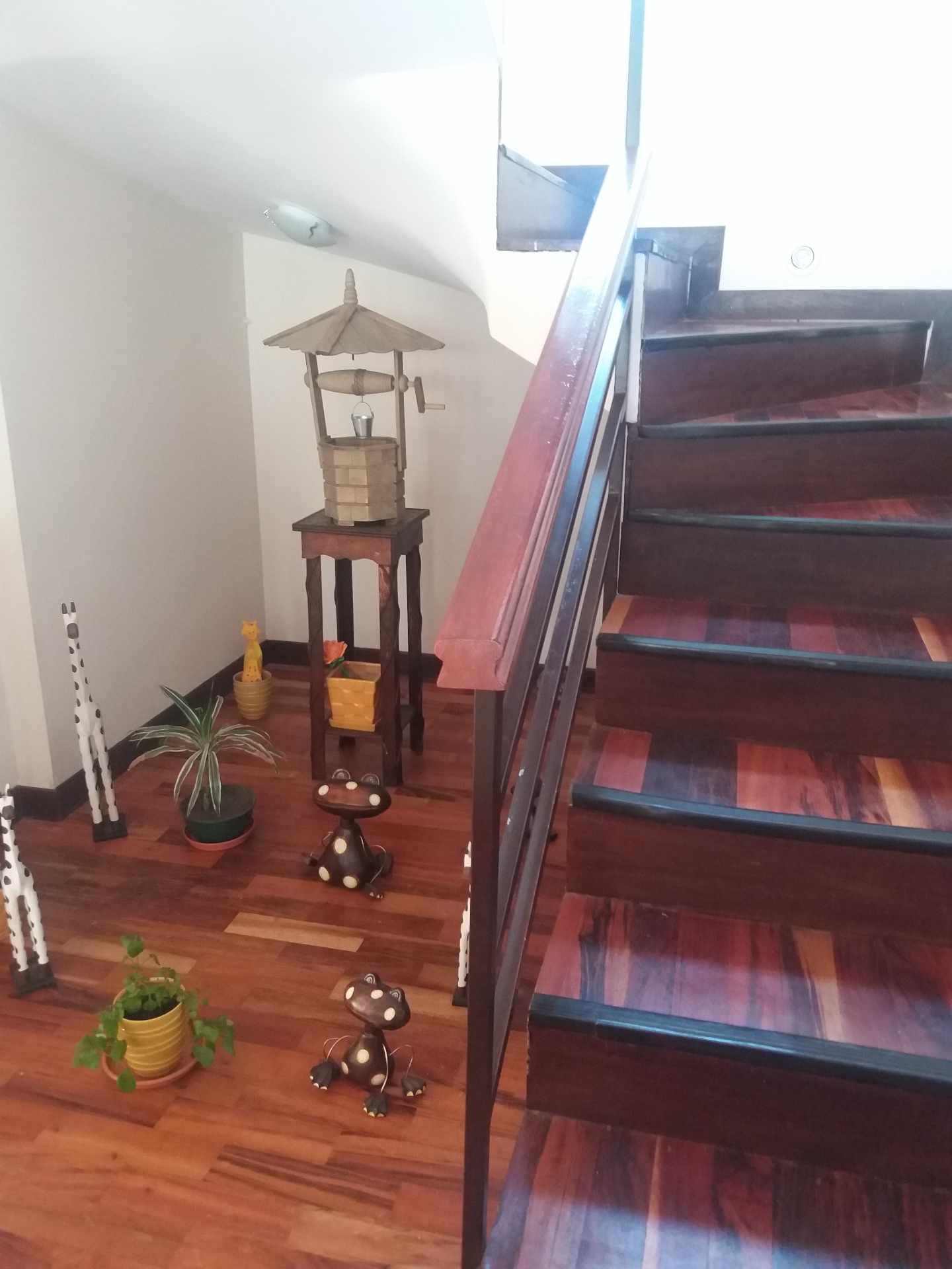 Casa en Achumani en La Paz 3 dormitorios 5 baños 2 parqueos Foto 22