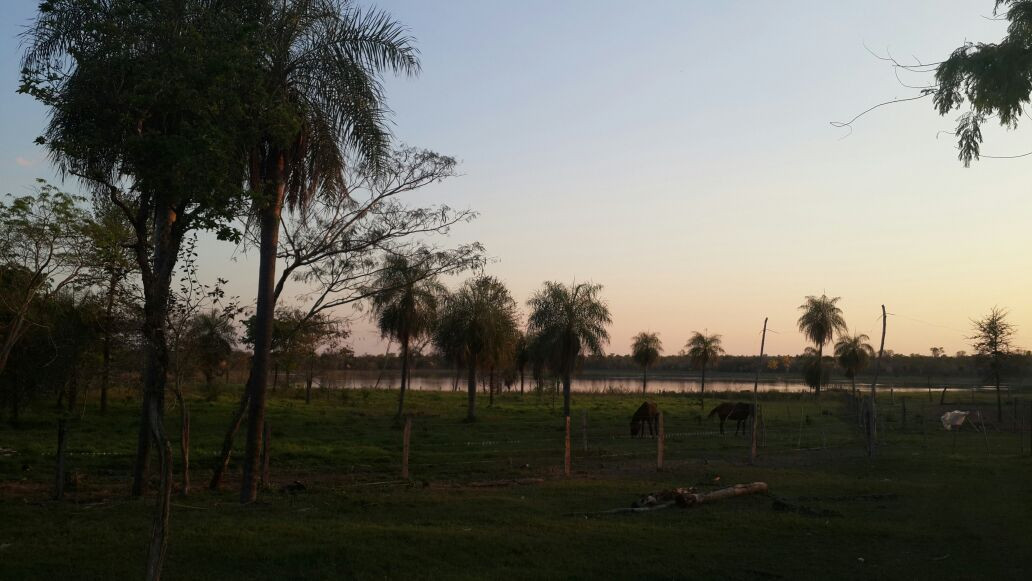 Terreno en VentaUbicada a 110 km al Sur de Roboré
Frontera con el Paraguay    Foto 8