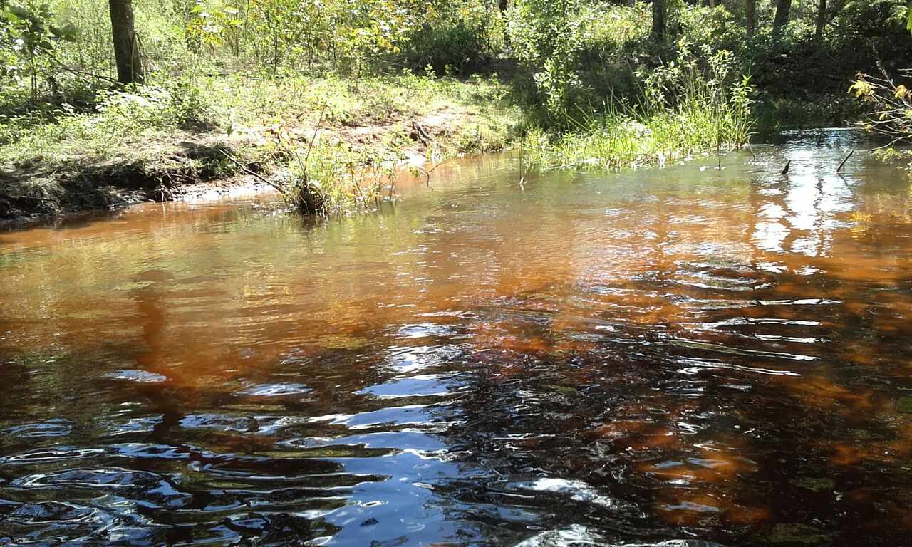 Terreno en VentaA 60 Km al Sur de Roboré Foto 6