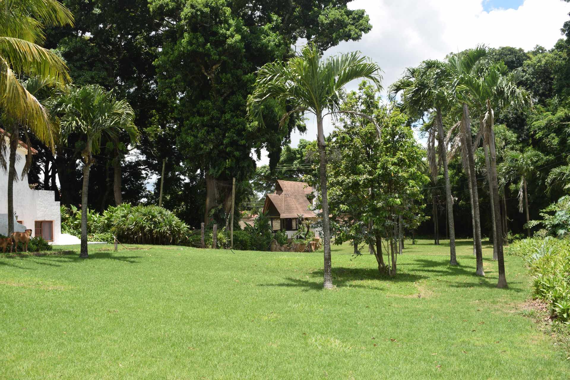 En Alquiler a $us 5,000 Foto 19