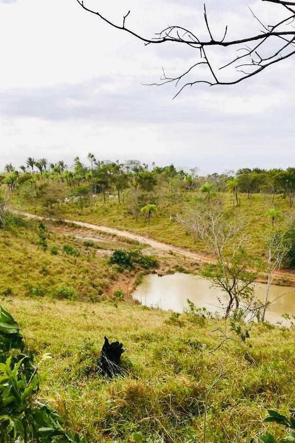 Terreno en Entre 7mo y 8vo anillo Norte en Santa Cruz de la Sierra    Foto 2