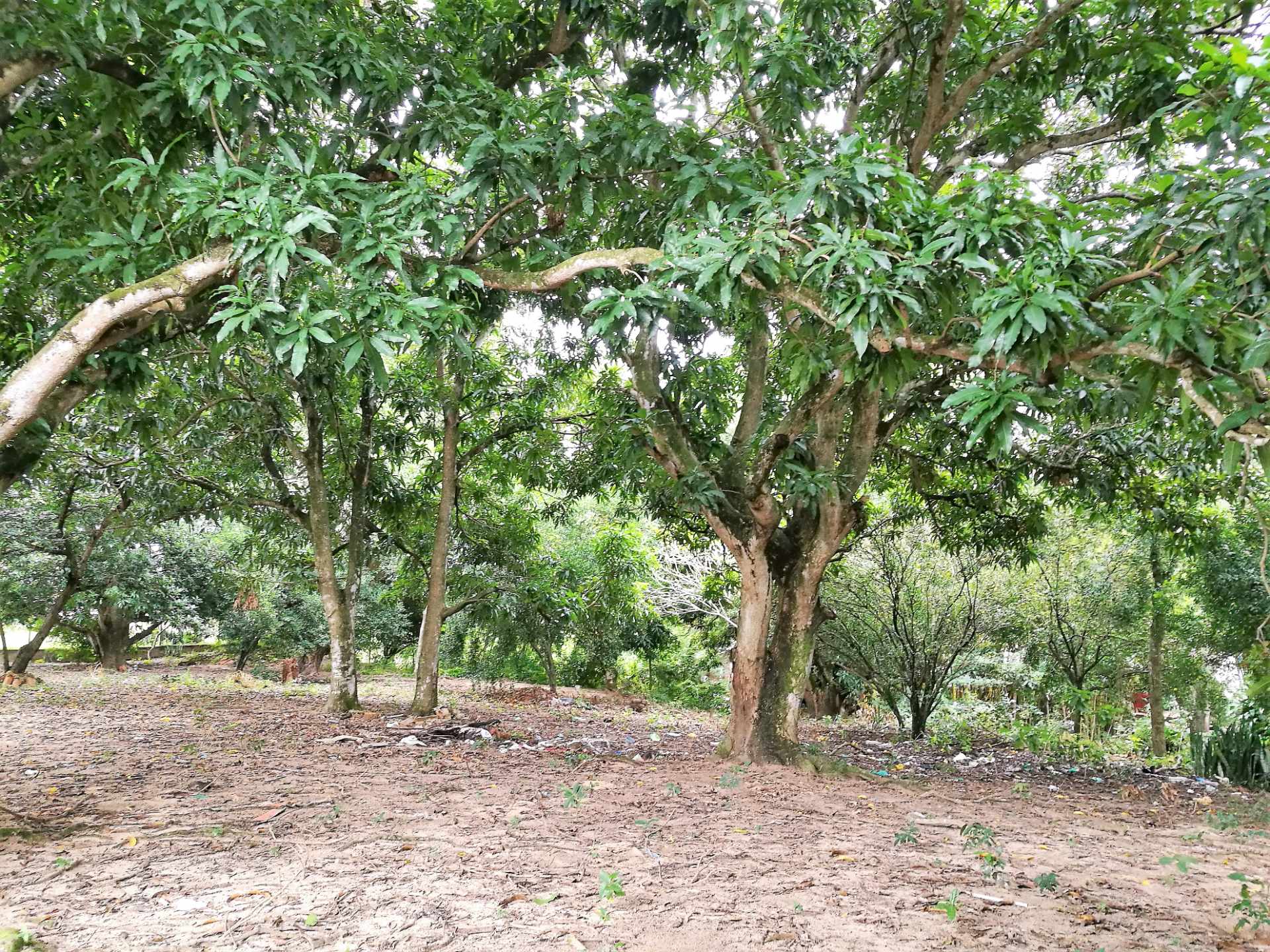 Terreno en Venta?TERRENO EN LA GUARDIA barrio “EL BIBOSI”    Foto 15