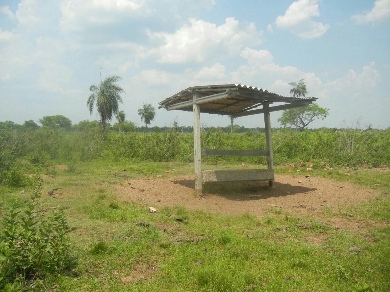Terreno en VentaA 60 Km al Sur de Roboré Foto 7