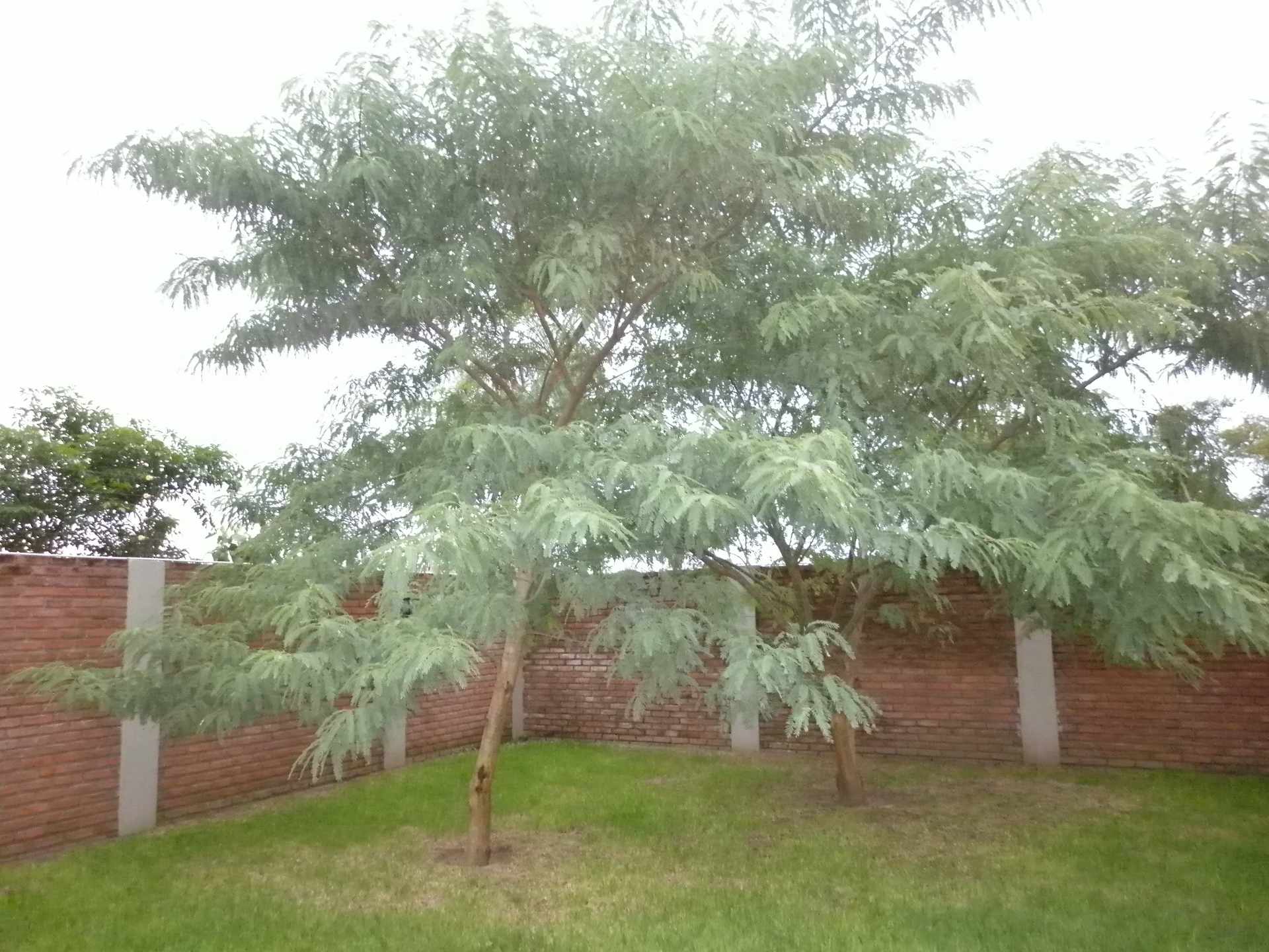 En Venta a $us 125,000 Foto 6