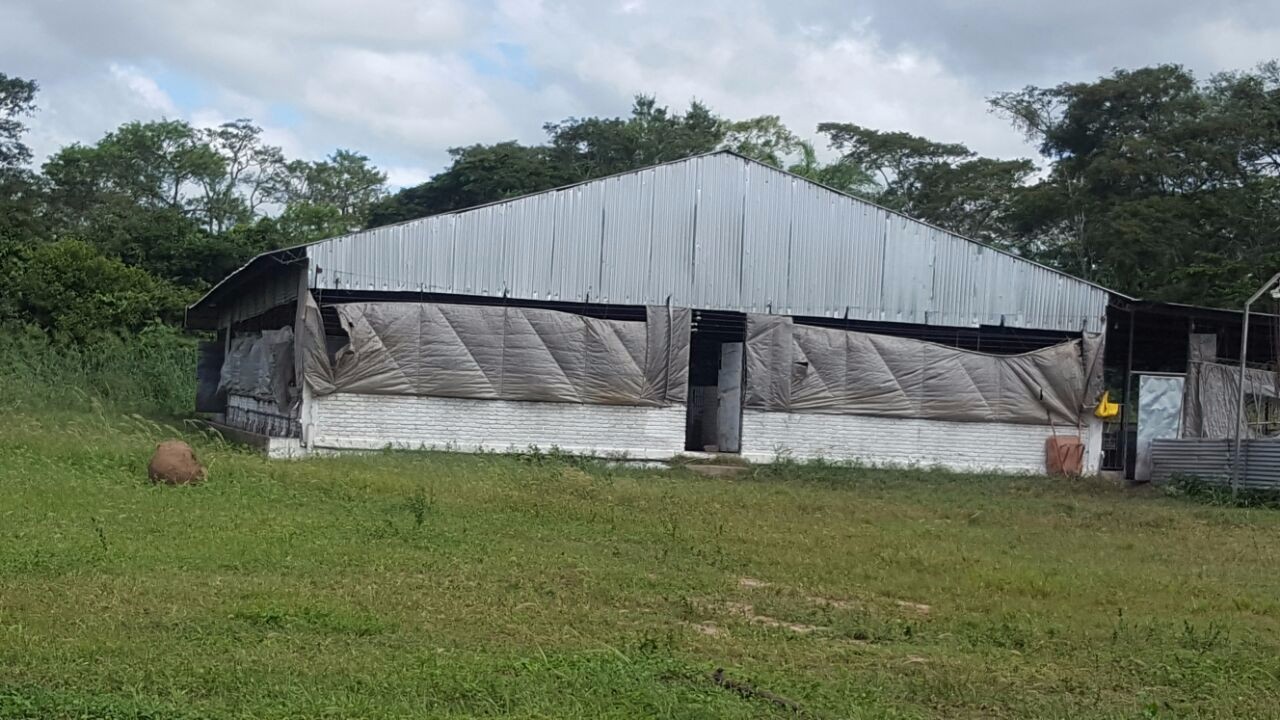 Terreno Entrando por Zona Franca Carretera a Warnes Foto 1