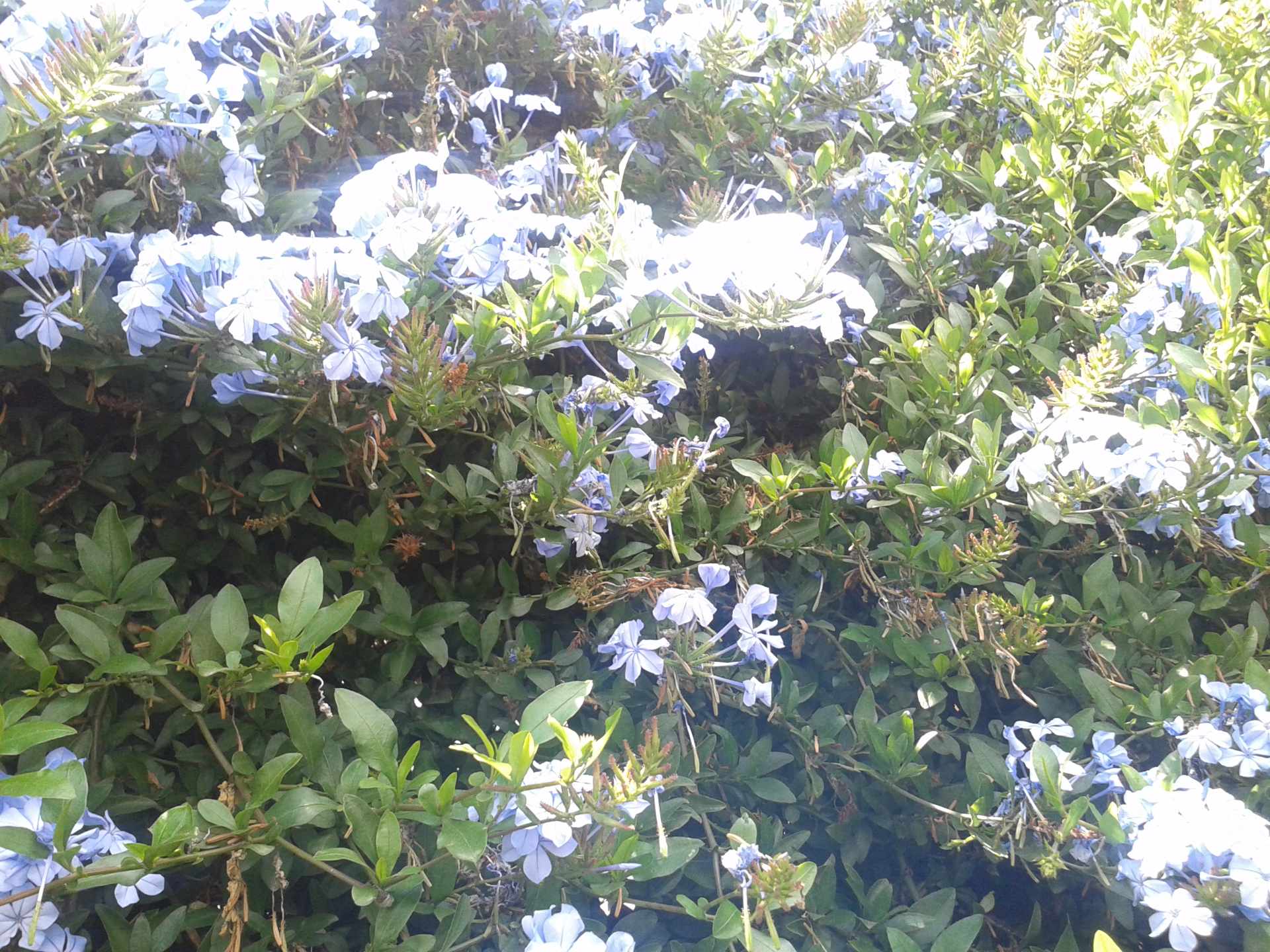 Casa en VentaAlrededor de la Plaza Espana 3 dormitorios 3 baños 1 parqueos Foto 1