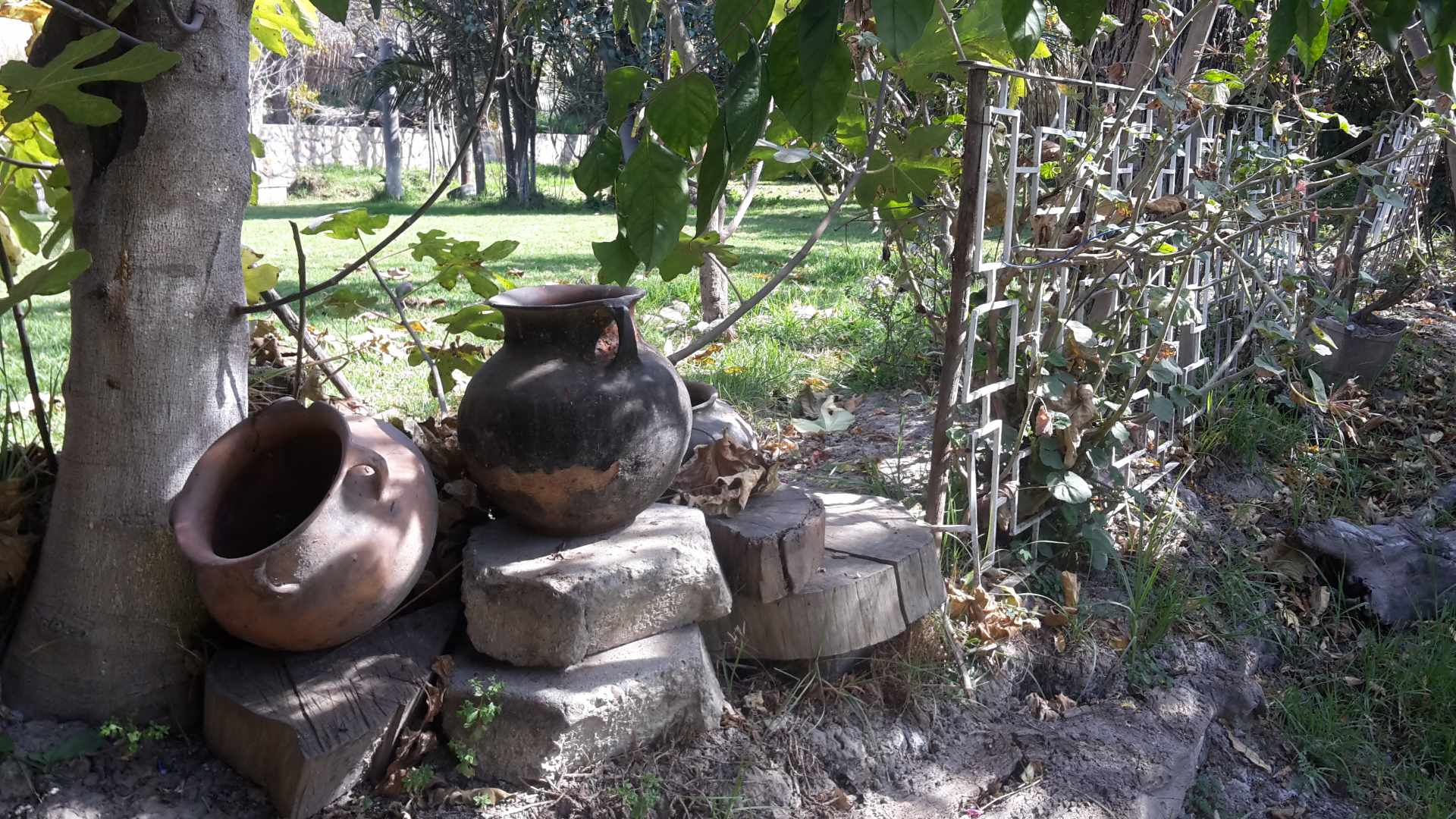 Casa EL PALOMAR Casa de Campo con arboles frutales a 50 minutos de la Zona Sur Foto 4