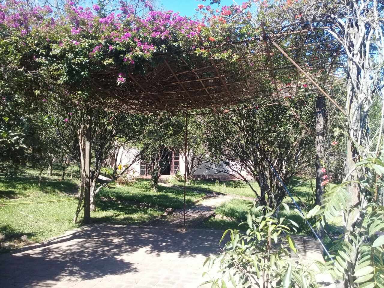 Terreno Preciosa Quinta en San José en venta.  Foto 15