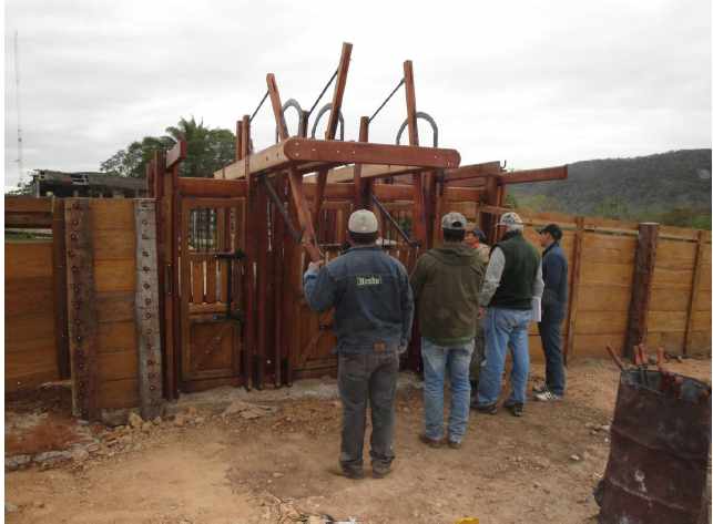 Terreno en VentaPropiedad ganadera en San Javier, 24km al oeste camino hacia El Puente    Foto 20