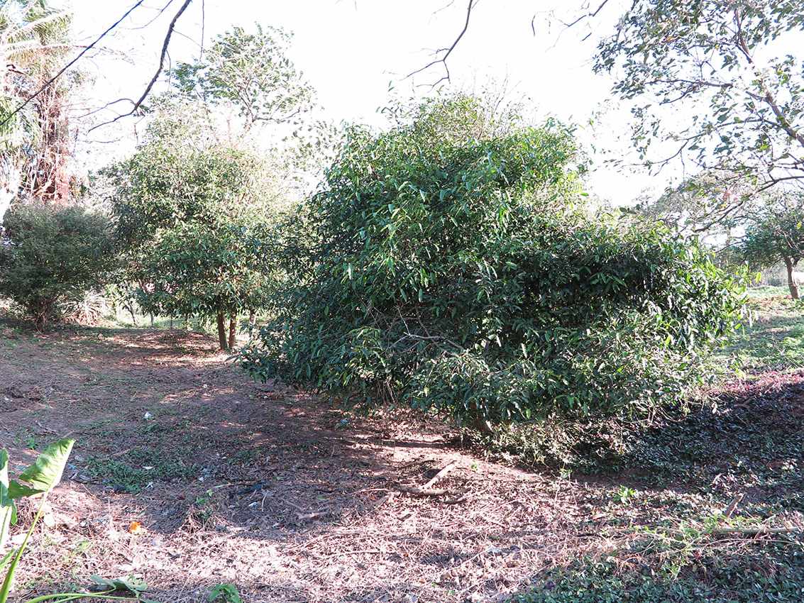 En Venta a $us 600,000 Foto 3