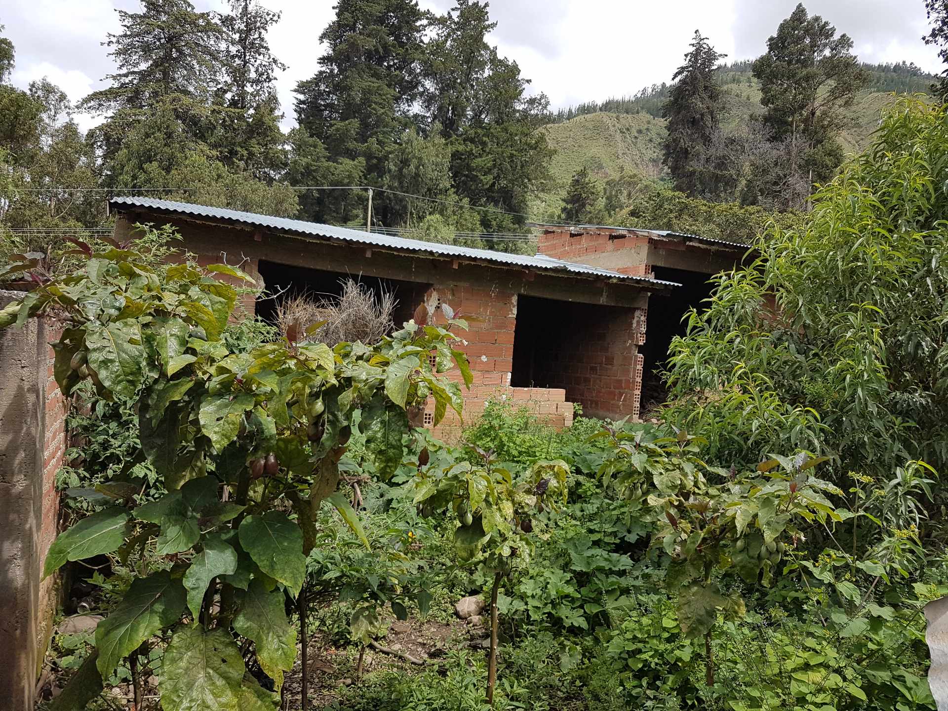 Terreno Tiquipaya - Chilimarca zona los Molinos Foto 2